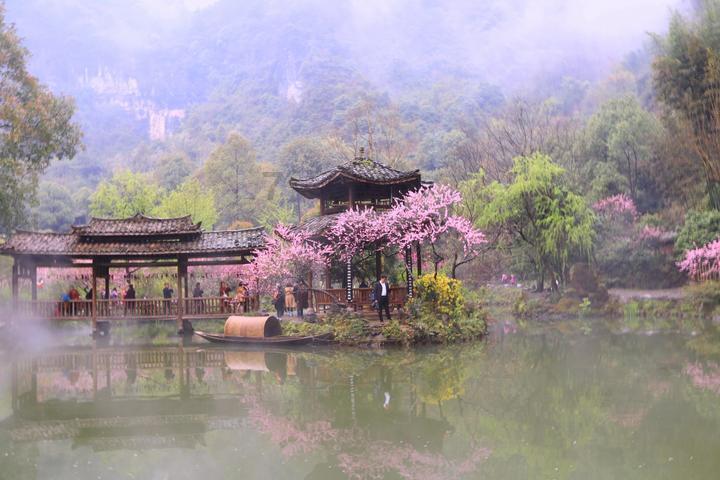 吃水果的蛇